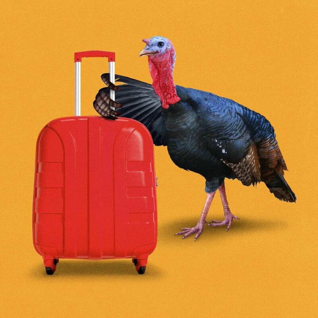 Turkey (2)